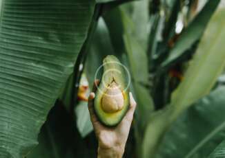 “Delicious” Hair and Face Masks that Do Work