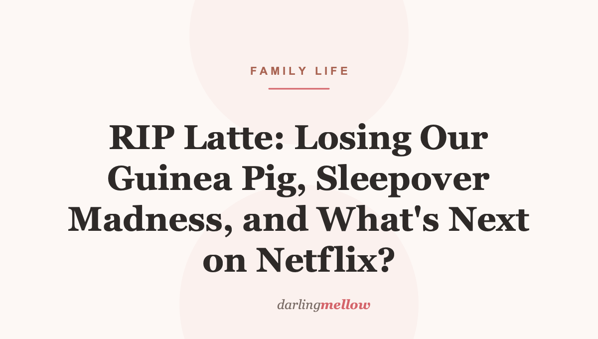 RIP Latte: Losing Our Guinea Pig, Sleepover Madness, and What’s Next on Netflix?