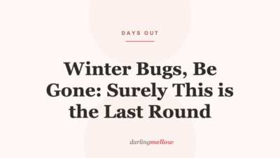 Winter Bugs, Be Gone: Surely This is the Last Round
