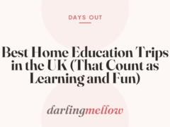 Best Home Education Trips in the UK (That Count as Learning and Fun)