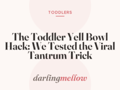 The Toddler Yell Bowl Hack: We Tested the Viral Tantrum Trick
