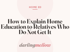 How to Explain Home Education to Relatives Who Do Not Get It
