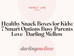 Healthy Snack Boxes for Kids: 7 Smart Options Busy Parents Love | Darling Mellow