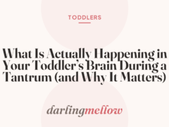 What Is Actually Happening in Your Toddler’s Brain During a Tantrum (and Why It Matters)