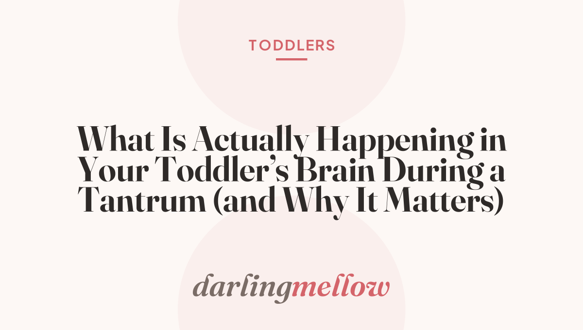 What Is Actually Happening in Your Toddler’s Brain During a Tantrum (and Why It Matters)