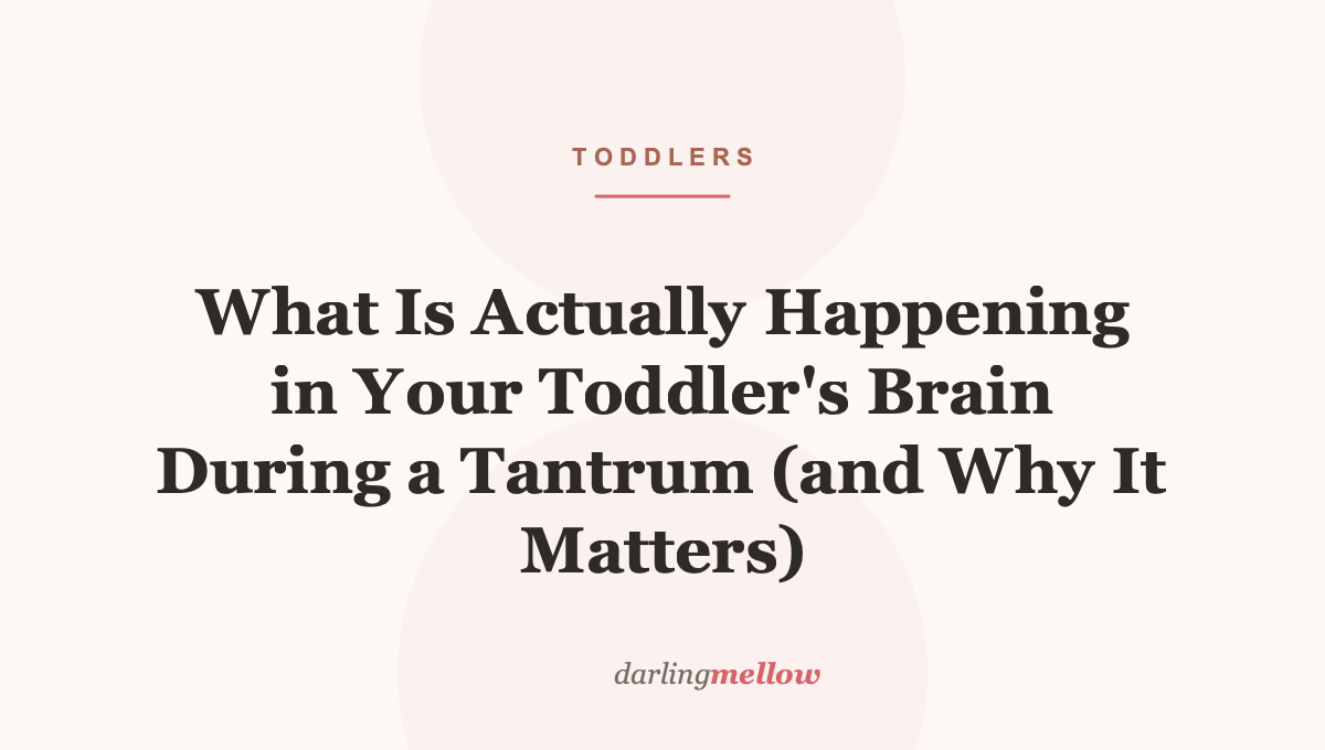 What Is Actually Happening in Your Toddler’s Brain During a Tantrum (and Why It Matters)