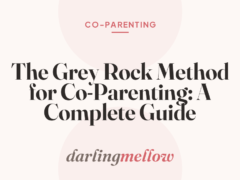 The Grey Rock Method for Co-Parenting: A Complete Guide