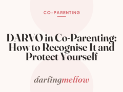 DARVO in Co-Parenting: How to Recognise It and Protect Yourself