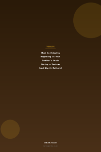 What Is Actually Happening in Your Toddler's Brain During a Tantrum (and Why It Matters)