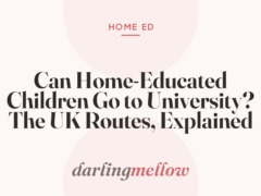 Can Home-Educated Children Go to University? The UK Routes, Explained