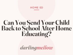 Can You Send Your Child Back to School After Home Educating?