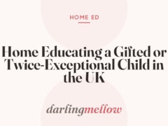Home Educating a Gifted or Twice-Exceptional Child in the UK