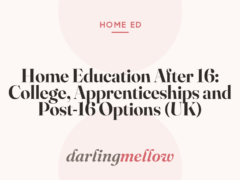 Home Education After 16: College, Apprenticeships and Post-16 Options (UK)