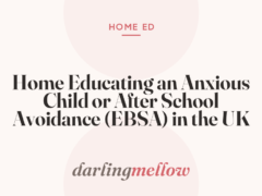 Home Educating an Anxious Child or After School Avoidance (EBSA) in the UK
