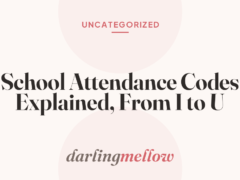 School Attendance Codes Explained, From I to U