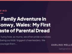 A Family Adventure in Conwy, Wales: My First Taste of Parental Dread