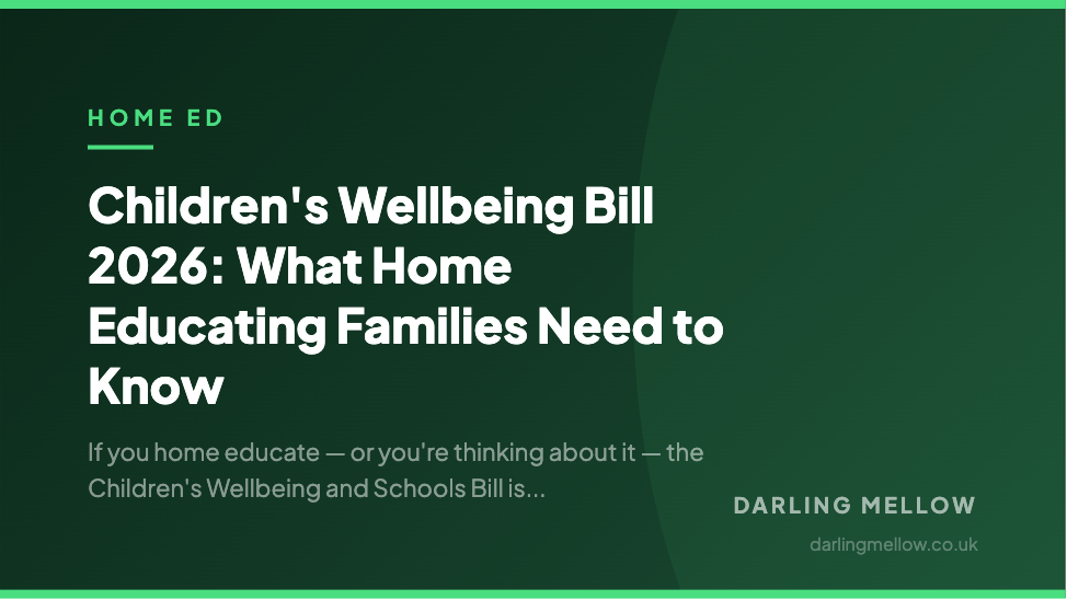 Children's Wellbeing Bill 2026: What Home Educating Families Need to Know | Darling Mellow