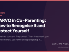 DARVO in Co-Parenting: How to Recognise It and Protect Yourself