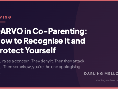 DARVO in Co-Parenting: How to Recognise It and Protect Yourself | Darling Mellow