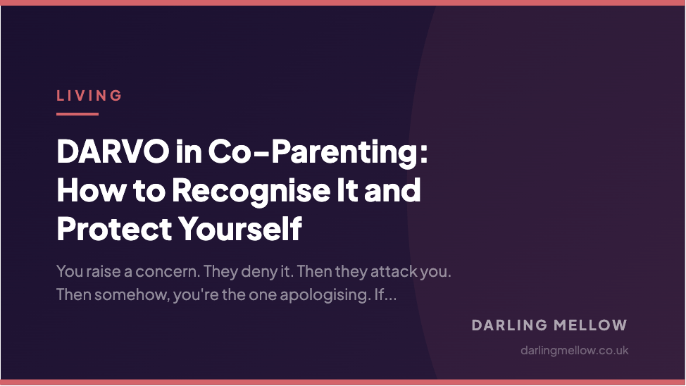 DARVO in Co-Parenting: How to Recognise It and Protect Yourself | Darling Mellow