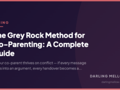 The Grey Rock Method for Co-Parenting: A Complete Guide
