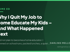 Why I Quit My Job to Home Educate My Kids – And What Happened Next