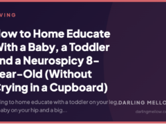How to Home Educate With a Baby, a Toddler and a Neurospicy 8-Year-Old (Without Crying in a Cupboard)
