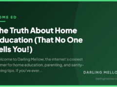 The Truth About Home Education (That No One Tells You!)