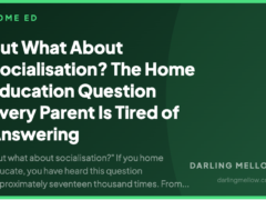 But What About Socialisation? The Home Education Question Every Parent Is Tired of Answering