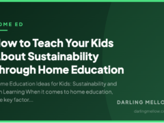 How to Teach Your Kids About Sustainability Through Home Education