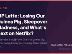 RIP Latte: Losing Our Guinea Pig, Sleepover Madness, and What’s Next on Netflix?