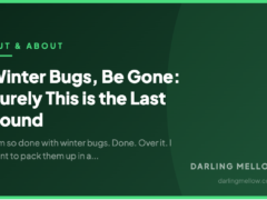 Winter Bugs, Be Gone: Surely This is the Last Round