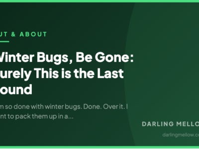 Winter Bugs, Be Gone: Surely This is the Last Round | Darling Mellow