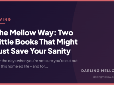 The Mellow Way: Two Little Books That Might Just Save Your Sanity | Darling Mellow