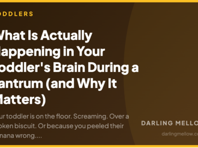 What Is Actually Happening in Your Toddler's Brain During a Tantrum (and Why It Matters) | Darling Mellow