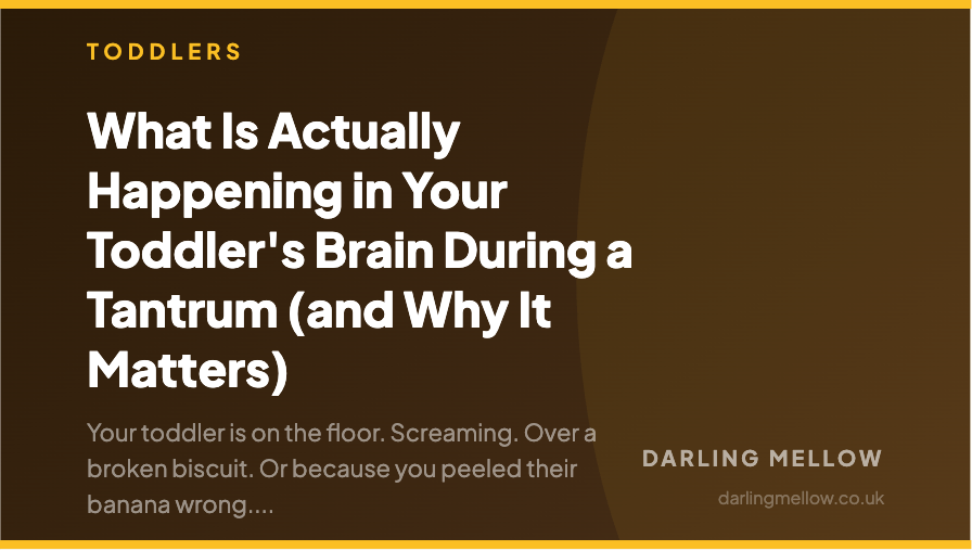 What Is Actually Happening in Your Toddler's Brain During a Tantrum (and Why It Matters) | Darling Mellow